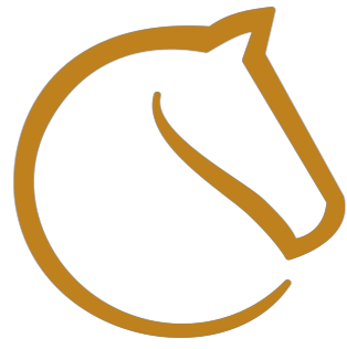 Lichess